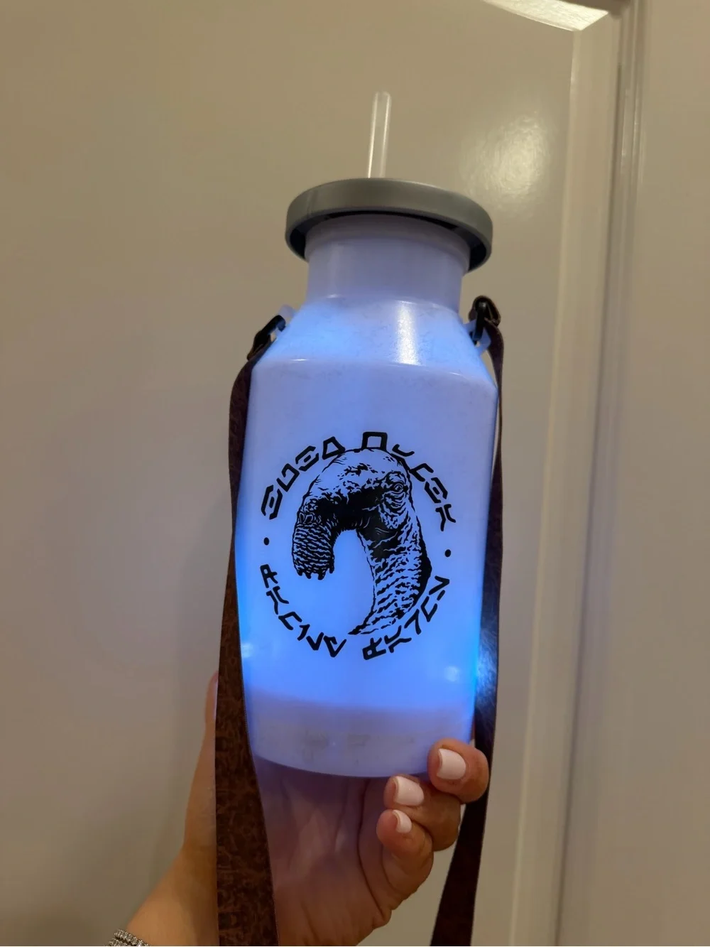 Disney Galaxy’s Edge Light Up Sipper